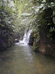 Chachagua Rain Forest Hotel