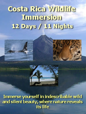 9 days/8 nights rain forest Adventure Package