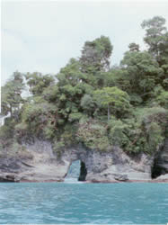 A cave carved by wave erosion in sedimentary layers.