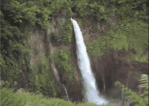 4,000 m.m. of precipitation annually and an irregular topography create impressive falls in the area
