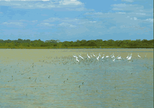Lake Ca�o Negro is a spill-off site of the river Fr�o