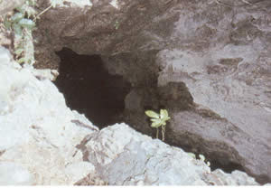 Entrance to Nicoa Cave, 2000 year old human remains were found here.